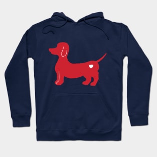 Dachshund in red Hoodie